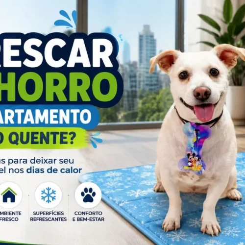 Como refrescar cachorro em apartamento muito quente?