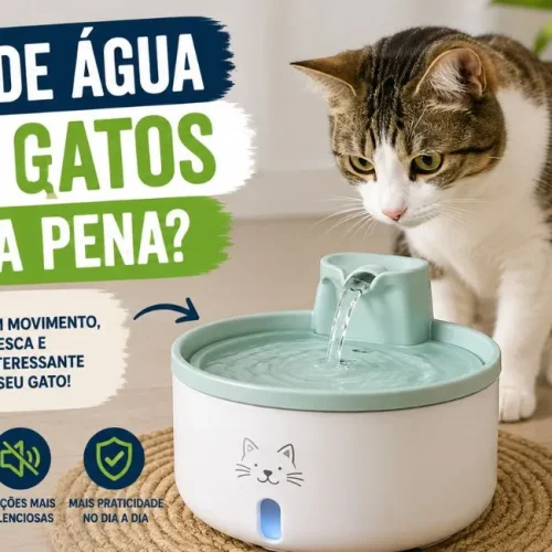 Fonte de água para gatos vale a pena