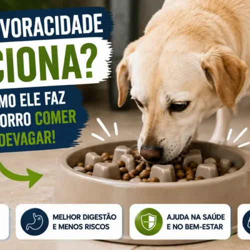 Pote antivoracidade para cachorro funciona