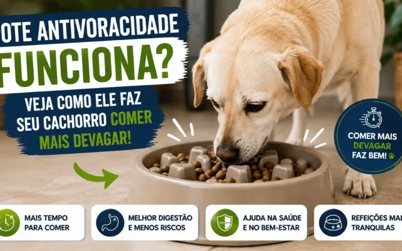 Pote antivoracidade para cachorro funciona