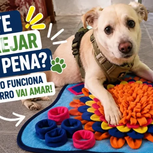 Tapete de farejar para cachorro