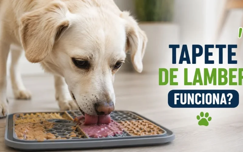 Tapete de lamber para cachorro funciona