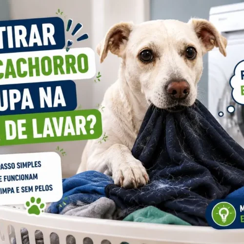 Como tirar pelo de cachorro da roupa na máquina de lavar