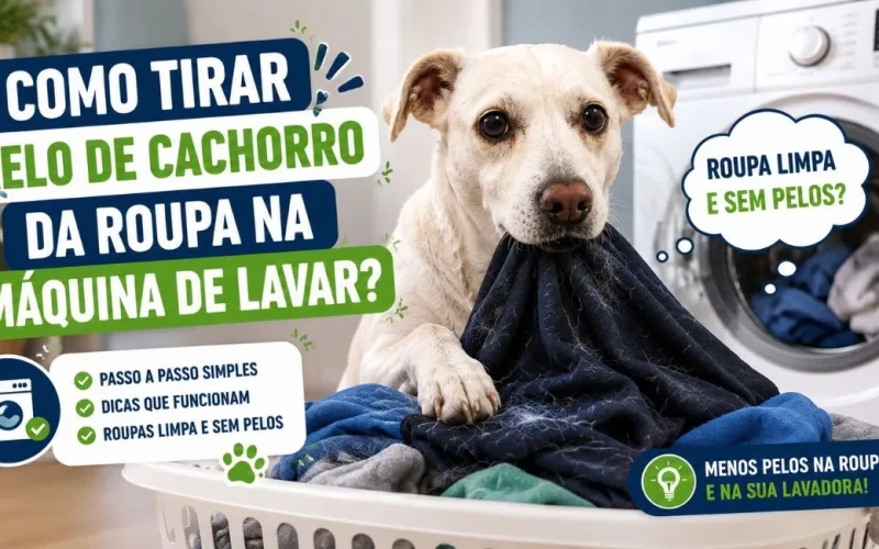 Como tirar pelo de cachorro da roupa na máquina de lavar